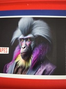 Bilety kolekcjonerskie na odwołany koncert Guano Apes