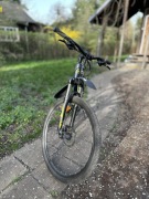 Rower CTM REIN 29” 3.0