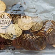 1 grosz 2007 MW saszetka (destrukty) 1 gr 2007 MW (emisja: 330 mln)