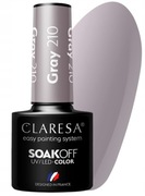 CLARESA LAKIER HYBRYDOWY SZARY FIOLETEM GRAY 210