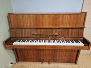 Pianino Calisia - pilnie