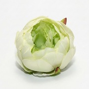 Ekskluzywna Główka Piwonii –Seledynowy z zielonym środkiem– Premium DIY