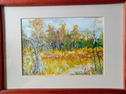 obraz akwarela sygnowany