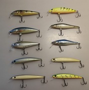 Woblery Sandaczowe Zestaw Bielik Dorado JR Wob Art 10 szt