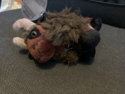 Totonca, Buffalo, USA limitowana Coca cola z 1999r