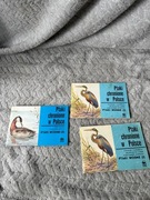 PTAKI CHRONIONE W POLSCE Ptaki wodne 1,3 - JERZY PTASZYK