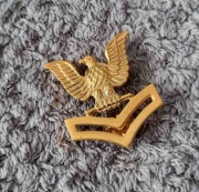 Przypinka - USN - Petty Officer Second Class E-5 (Cap Device) PO2 (gold)