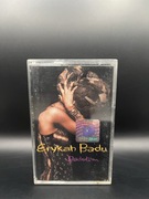 mc kaseta audio magnetofonowa erykah badu - baduizm