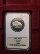 100 zł  Ochrona środowiska   Żubr 1977 r