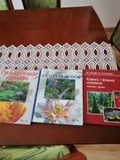 Poradnik książka ogród pielęgnacja iglaki