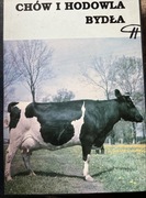 Chów i hodowla bydła