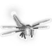 Silver Dragonfly Grow a Garden Pet GaG Roblox