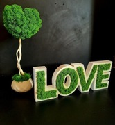 Litery LOVE stojące z mchem chrobotkiem. Prezent. Dekoracje wnętrz 