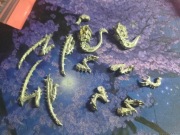 Lictor/Deathleaper (prawie 2) METAL 