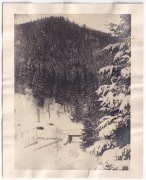 Międzygórze ok.1900r FOTOGRAFIA DUŻA TEKTURA  x212