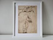 Obraz grafika konie (1) szkic koń Leonardo da Vinci