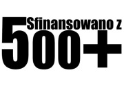 Naklejka na samochód 