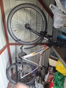 rower winora blaster