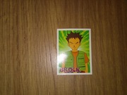 Brock naklejka Pokemon złap je wszystkie Chipita chipicao nowa