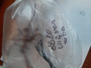 Hp 8620 wiązka kabli do Adf