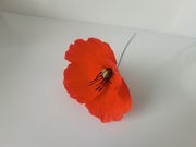 Maki kwiaty z krepiny włoskiej 