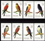 Fauna ptaki 2207 - 2214** 