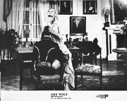 IWONA BIELSKA fotografia, duży fotos film WILCZYCA Piestrak 24x30