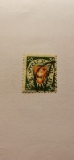 1922 WMG Fi 192 cw kas. 