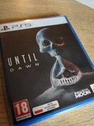 Until Dawn PL PS5 