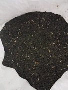 ZIARNA SŁONECZNIKA dla ptaszków na zimę 25 KG