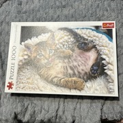 Puzzle Trefl kotek 1000 el