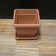 Donica kwadratowa plastikowa Prosperplast Terra 19 cm z podstawką