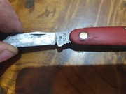 Scyzoryk gerlach okulizak