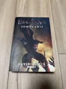 Dragon Age powołanie