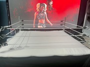 WWE Ring do figurek