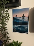 Plakat "Radical Optimism" Dua Lipa