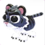 2x Black Tiger - Adopt Me Roblox