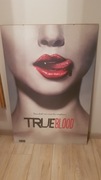 TRUE BLOOD HBO plakat w antyramie 61x91