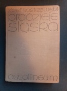 J. Kostrzewski Pradzieje Śląska
