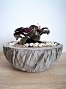 Las w słoiku, las w szkle, w betonowej formie