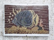 Obraz ręcznie zdobiony na tkaninie w antyramce - ryba tropikalna