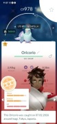 Regionalne shiny oricorio pakiet 3sztuk