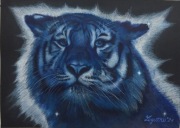 Obraz "Trochę magii"