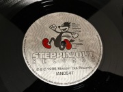 Technocat Featuring DJ Scott - The Journey VG+/VG Hard House