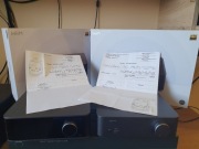 Zestaw Wiim Ultra Streamer + Vibelink Amp