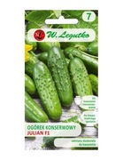 Ogórek gruntowy Julian F1