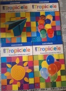 Nowi Tropiciele. Przewodnik metodyczny. Część 1,2,3,4. Wsip