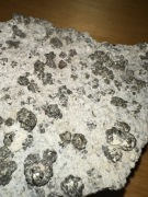 Ładne Kryształy Pirytu na matrycy skalnej z okolic Zawiercia