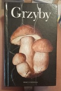 Grzyby - Aurel Dermek 