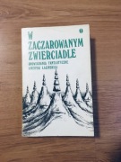 W zaczarowanym zwierciadle opowiadania fantastyczne Ameryki Łacińskiej.
